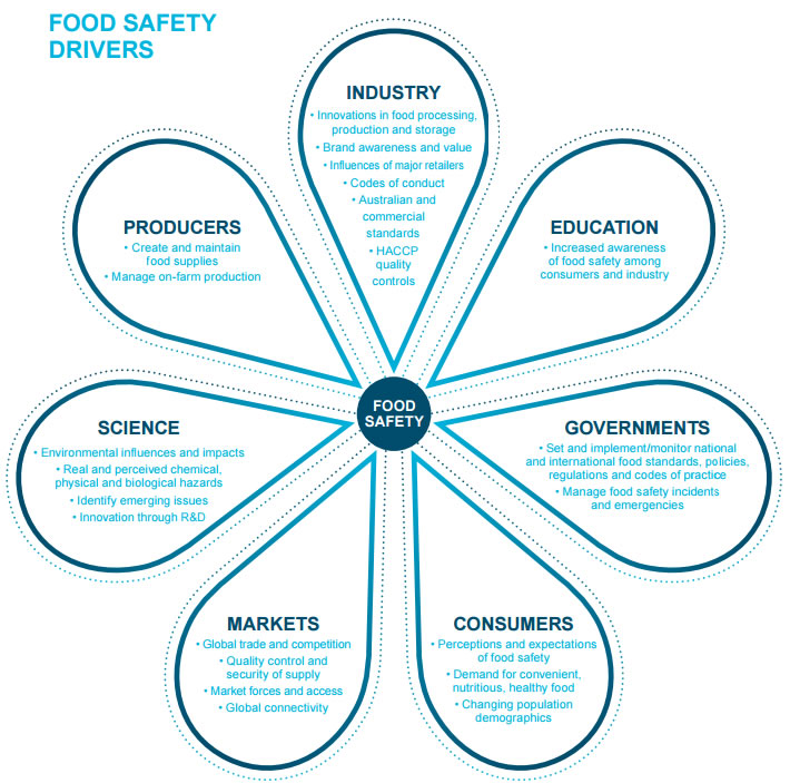 Food safety drivers: industry, producers, education, governments, consumers, markets and science